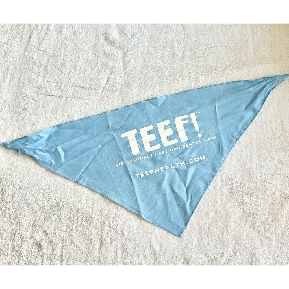 Light blue and white doggy bandana
